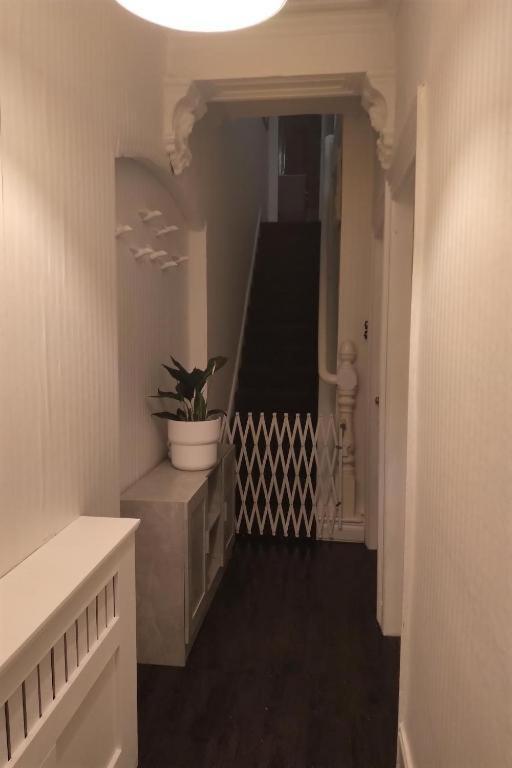 Ferienwohnung Aunty Katie'S House, Ni Tourist Board Certified With Free Continental Breakfast Belfast Exterior foto